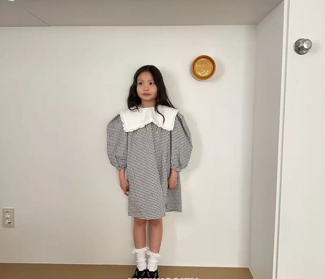 Checked Collar Dress - Check